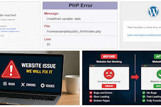 fix website errors bugs and issues fast