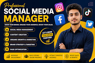be your social media marketing manager social media content creator growth