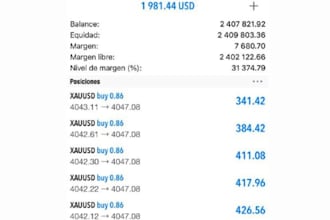 build forex trading bot, forex trading robot, forex ea bot, gold ea