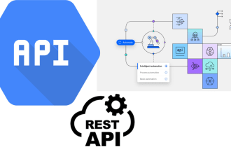 do any API integration in your web system