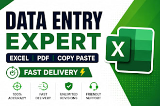 do accurate excel data entry, data cleaning, excle work fast