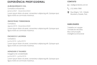 make professional CV, translate texts eng to pt, pt to eng