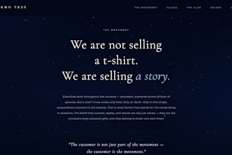 do the website for e commerce