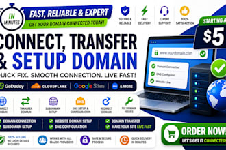 quickly connect, transfer domain,subdomain godaddy,cloudflare,google site in min