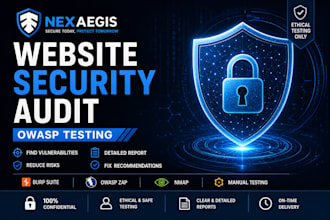 perform website security testing and find owasp vulnerabilities