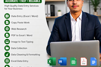 be your data entry expert, excel and copy paste specialist