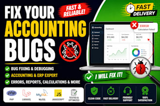 debug and fix accounting software issues professionally
