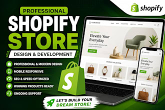 build a professional shopify store for your business
