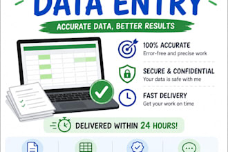 accurate data entry and excel data cleanup in 24 hours