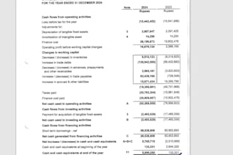 prepare financial statements for you