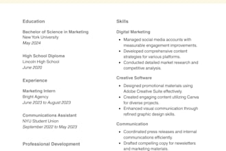 create a professional CV and resume