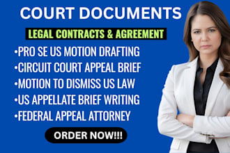 draft a legal motion or appeal brief as a US attorney