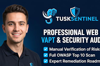 a professional web vapt assessment