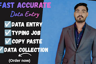 do fast accurate data entry typist and excel work