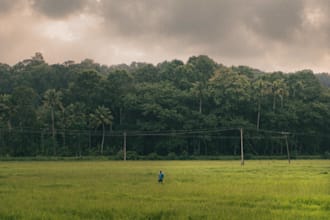 edit photos and color grade appropriately