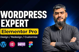 a wordpress website as an elementor expert