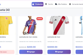 a custom ecommerce website with admin panel