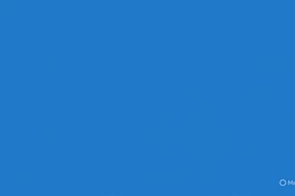 fast arabic typing and data entry service