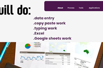 do data entry work in excel or google sheets