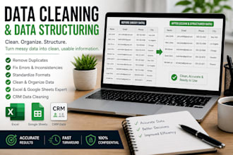 clean, structure, and organize your excel or CRM data