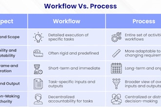 audit your business workflows and design high impact automations
