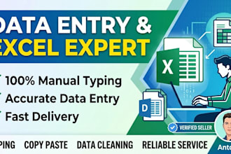 do accurate manual data entry and excel typing