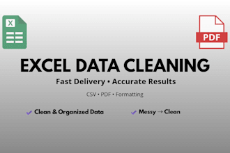 clean, organize, and format your excel or CSV data