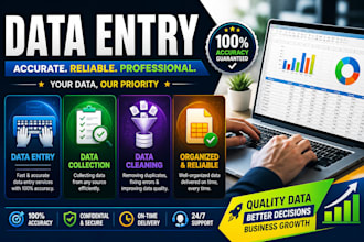 do data enrty in microsoft excel