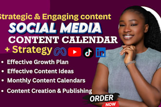 create professional social media content calendar and strategy for your business