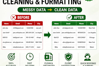 clean, format and fix excel data professionally