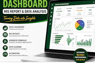 create professional excel dashboard  mis report