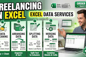 entry ,clean, format, merge, split excel data