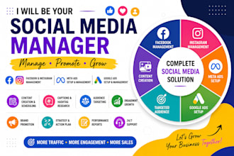 manage your instagram and facebook business pages professionally