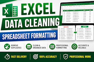 do excel formatting and data cleaning