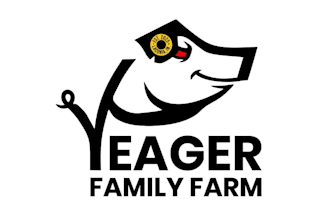 design a modern pig and farm logo