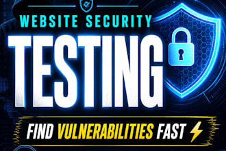 do professional website security testing and vulnerability report
