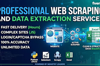 do expert web scraping, data mining, and professional excel dashboards