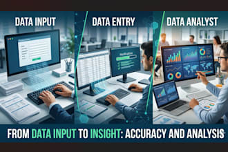 do data entry, convert, input and edit your data