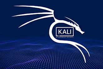 help you install kali linux or parrot os on your PC