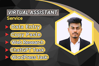 be your expert virtual assistant for, wordpress research for anytask long term