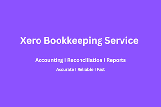 do xero bookkeeping, accounting, and financial support