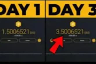 setup daily withdrawal bitcoin bot, btc app, earning app on your device