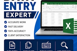 do data entry copy paste typing and excel work