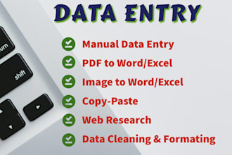 do multilingual data entry and copy paste tasks