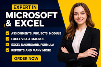 do microsoft excel projects, assignments and module