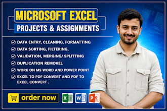 do microsoft excel, ms word projects, assignments and module