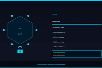 perform a professional rest or graphql API security penetration test