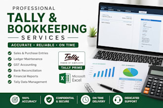 do your accounts in tally with accuracy