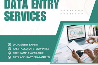 do urgent data entry, excel work, copy paste in 2 hours with full accuracy