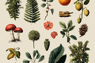 draw custom vector botanical flowers and plants